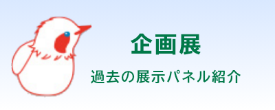 企画展