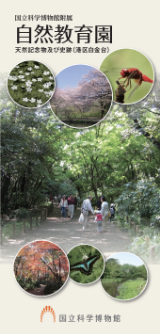 自然教育園リーフレット