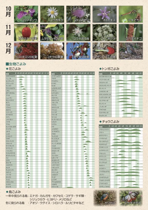 自然教育園の一年01